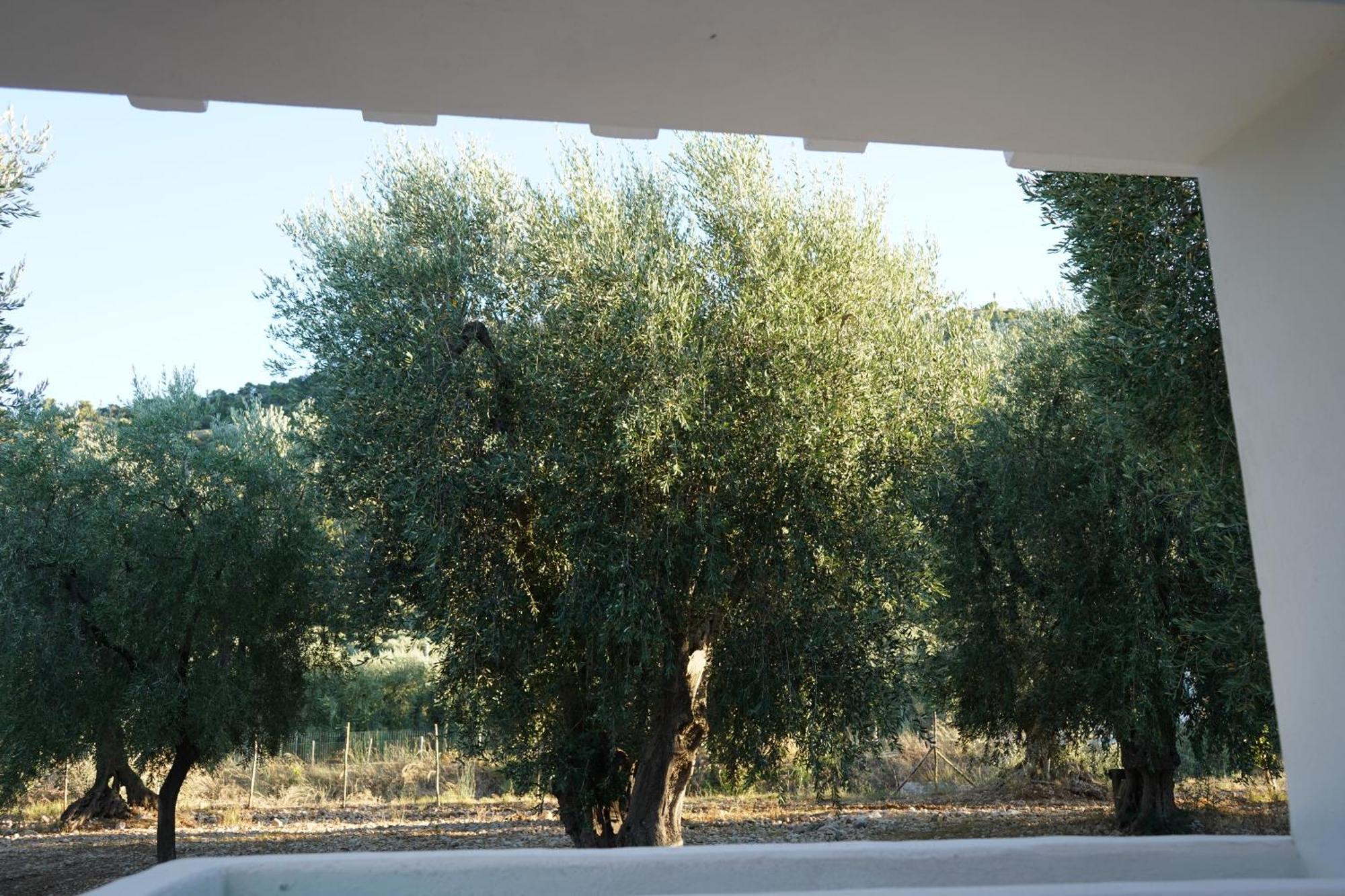 Olive&Sea Villa-Olive Mattinata Bagian luar foto
