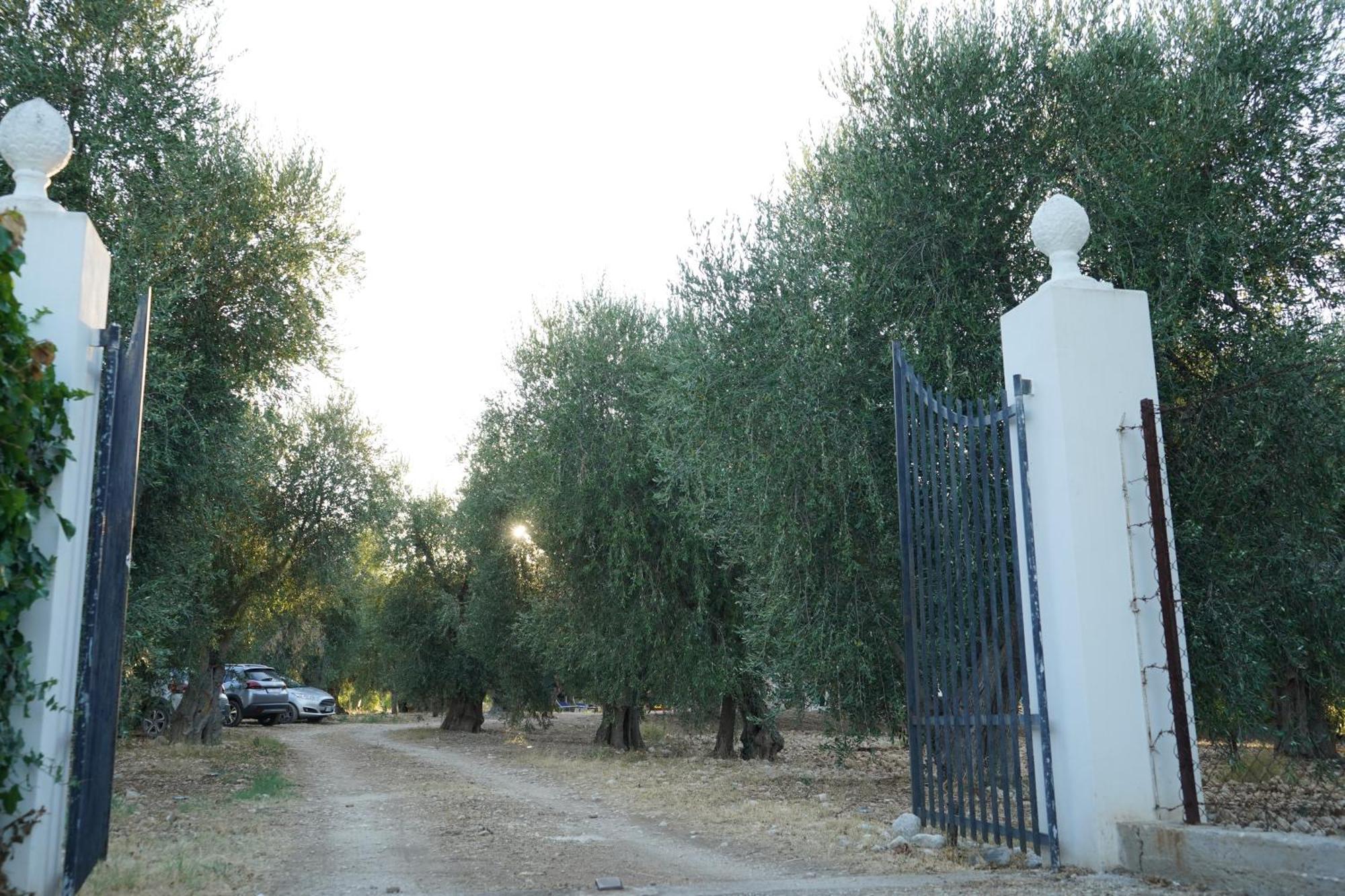 Olive&Sea Villa-Olive Mattinata Bagian luar foto