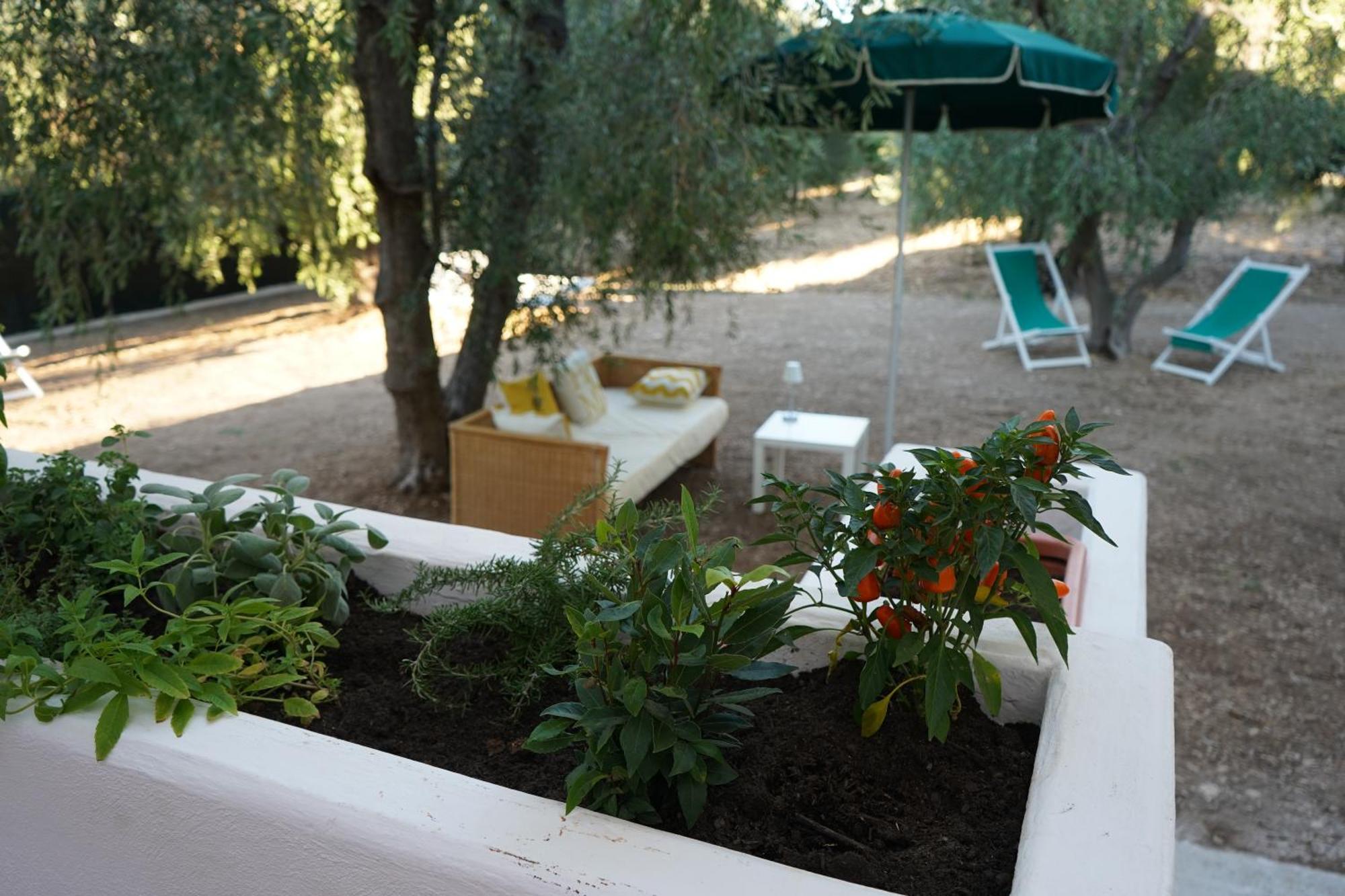 Olive&Sea Villa-Olive Mattinata Bagian luar foto