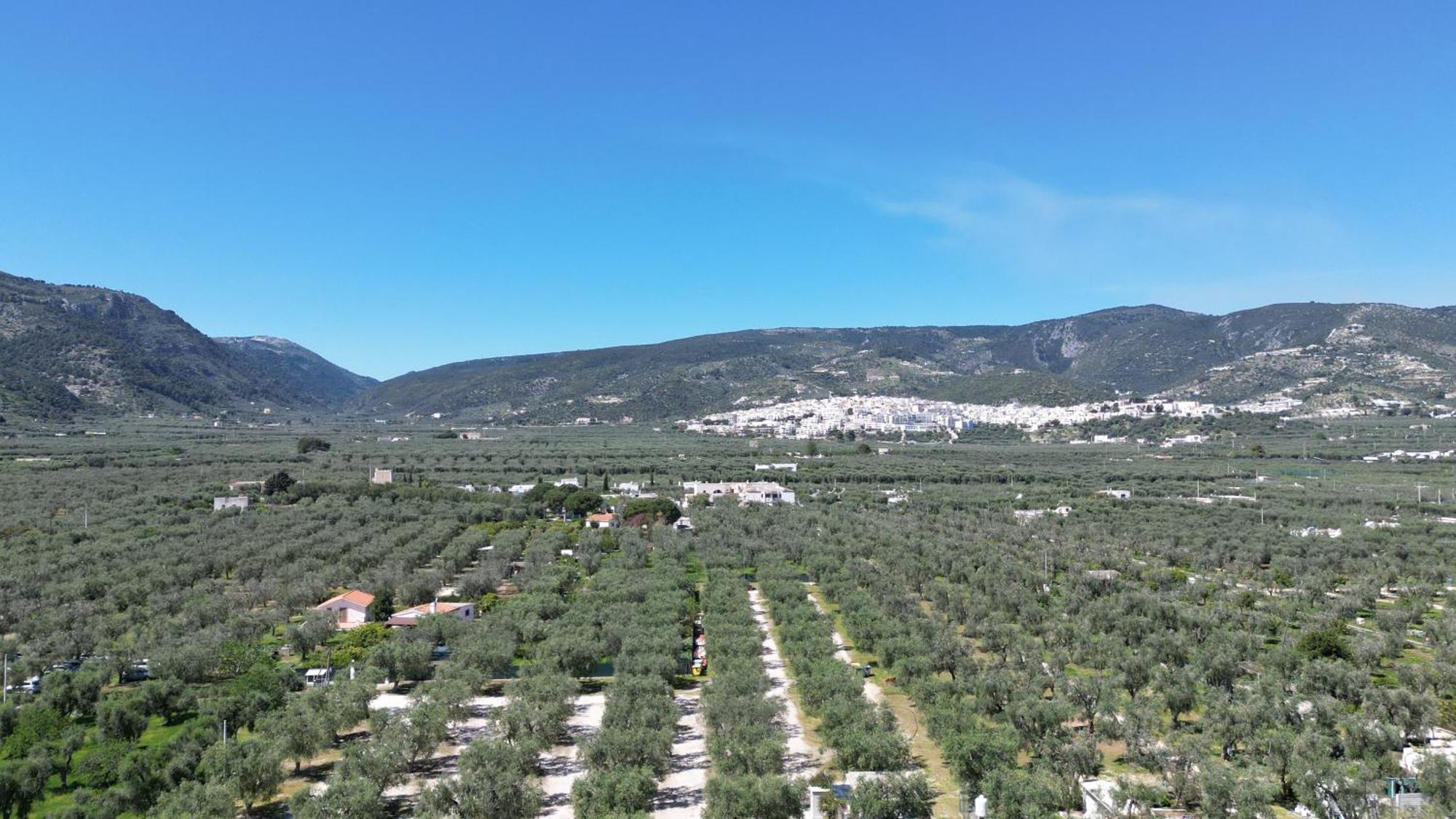 Olive&Sea Villa-Olive Mattinata Bagian luar foto