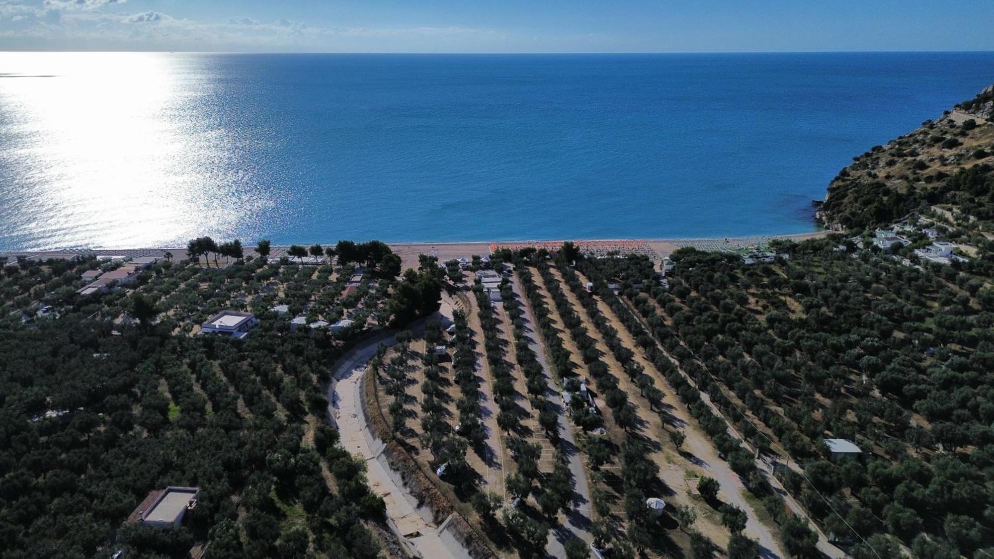 Olive&Sea Villa-Olive Mattinata Bagian luar foto