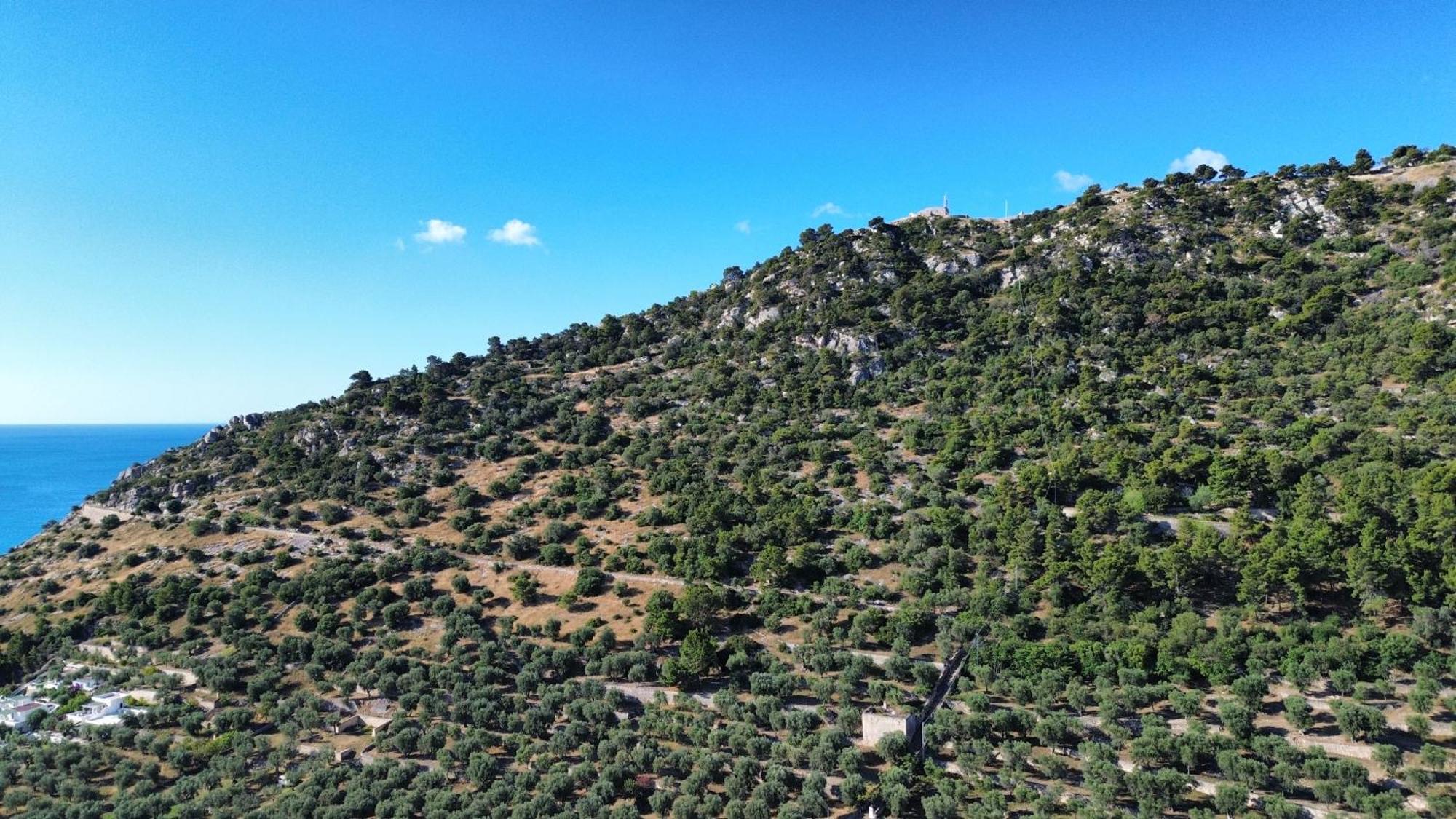 Olive&Sea Villa-Olive Mattinata Bagian luar foto
