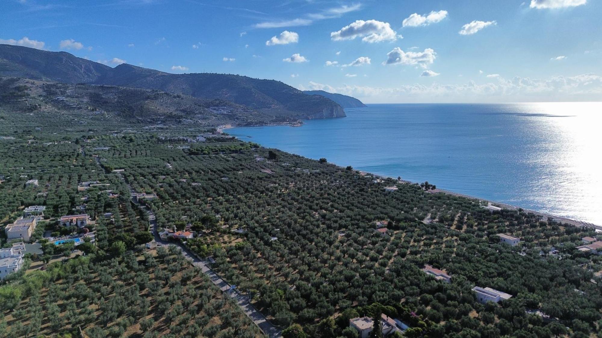 Olive&Sea Villa-Olive Mattinata Bagian luar foto